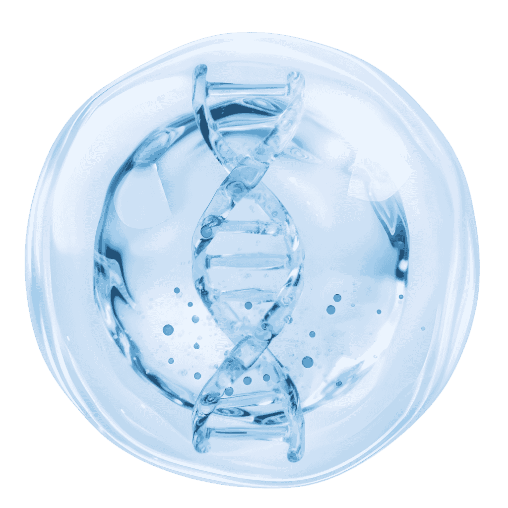 Representación 3D de una molécula de ADN flotando dentro de una esfera acuosa translúcida, simbolizando genética y biotecnología.